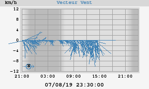 Wind Vector