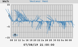 Wind Vector